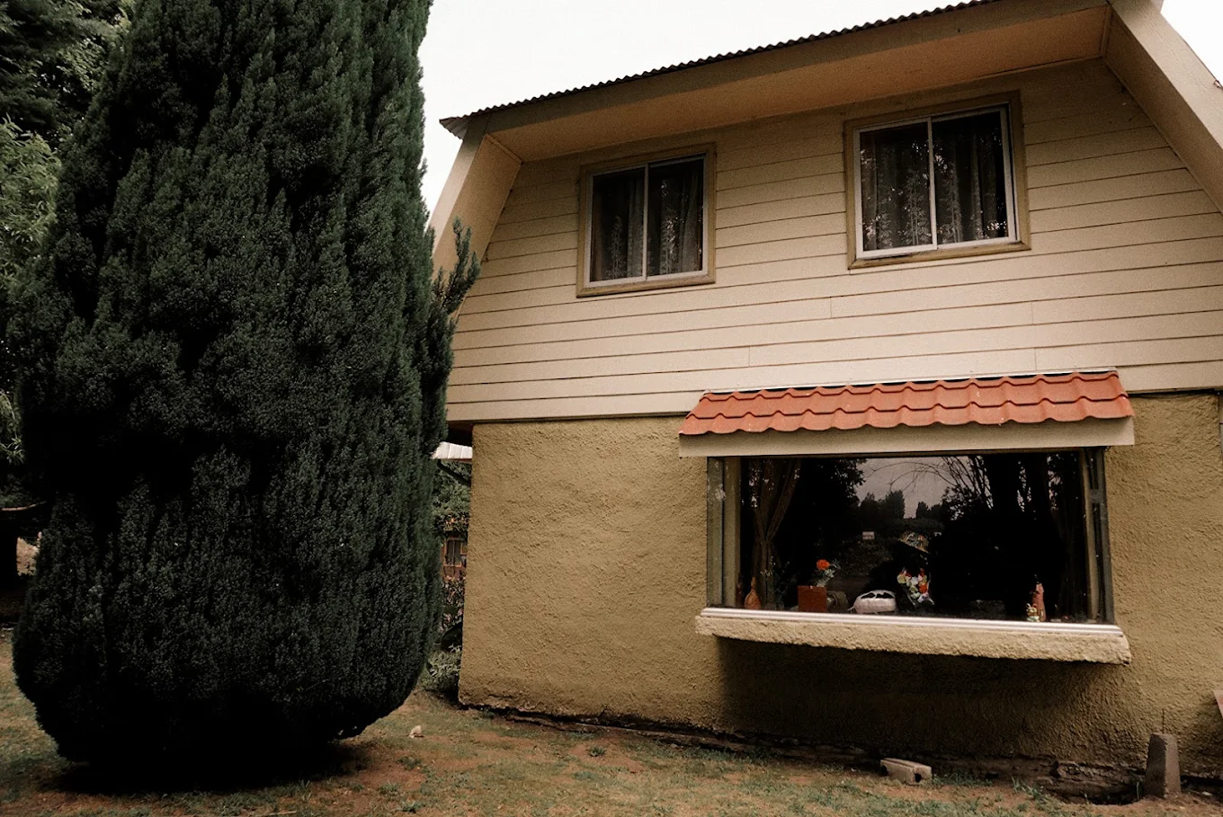 Cabaña 4, vista principal
